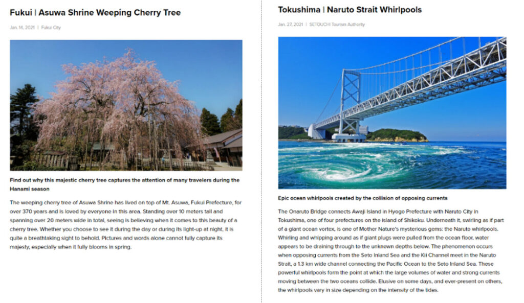 Fukui Asuwa Shrine Weeping Cherry Tree_Tokushima Naruto Strait Whirlpools
